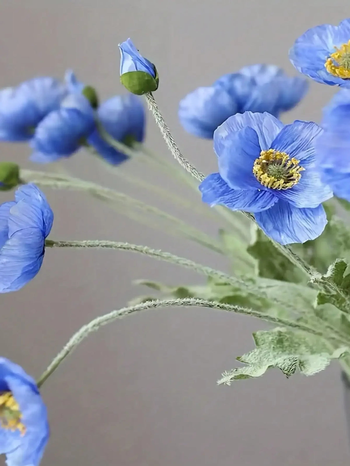1 Piece Artificial Blue Poppy Flower