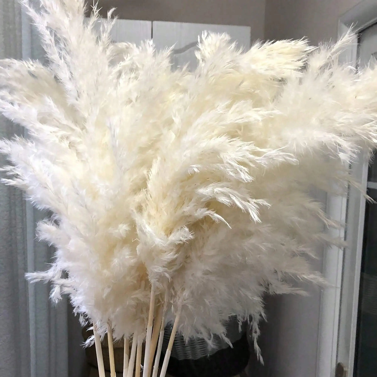 10/20/30pcs White Artificial Pampas Grass 17.3/Inch