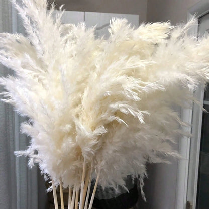 10/20/30pcs White Artificial Pampas Grass 17.3/Inch