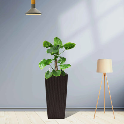 Pack of 2 Square Planter 22-Inch High Faux Rattan Design with Automatic Watering System....