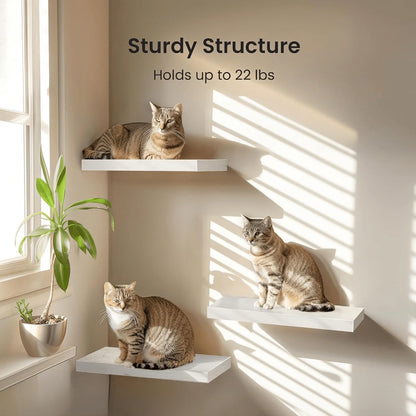 Floating Wooden Shelving Units With Hidden Brackets; Set Of 3....