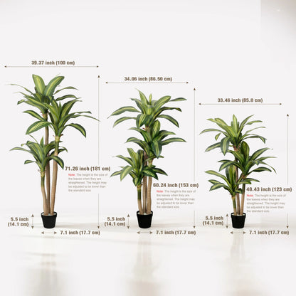 4ft/5ft/6ft Artificial Dracaena Tree in Pot - Realistic  Tropical Plant with Easy Assembly,
