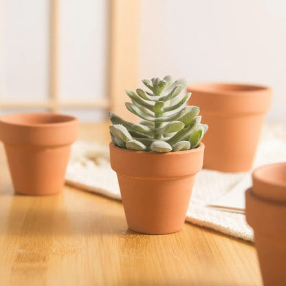 36 Mini 2" Clay Flower Pots with Drainage Holes ....