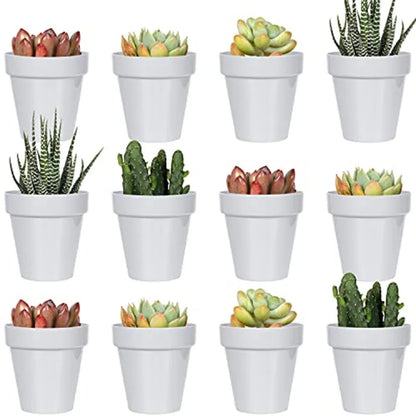 24 Pack 2 Inch Mini Plastic Planters, Indoor Flower Plant Pots...