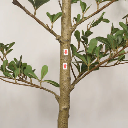 Artificial Black Olive Tree with Black Plastic Pot, Realistic Tall  Indoor