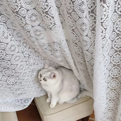 2pcs White Lace Embroidered Mesh Knitted Sheer Curtains, White...
, Whit