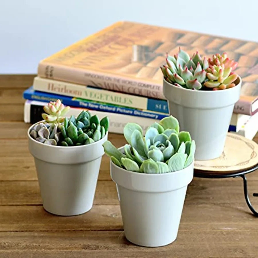 24 Pack 2 Inch Mini Plastic Planters, Indoor Flower Plant Pots...