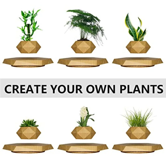 Levitating Plant Pot decoration, wood material, natural wood color, magnetic levitation