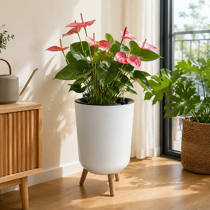 Self‑Watering Raised Planter with Water Level Indicator