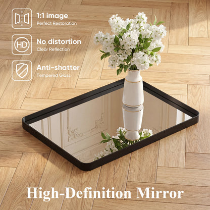 Rounded Rectangle Wall Mirror with Matte Brush Metal Framed ....