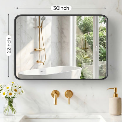 Rounded Rectangle Wall Mirror with Matte Brush Metal Framed ....