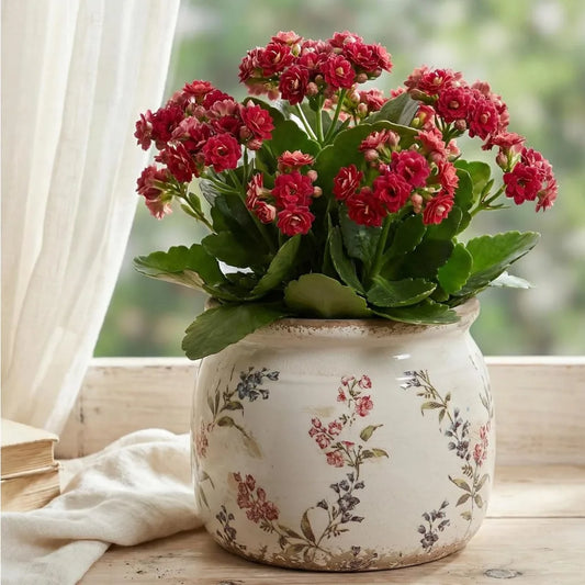 Vintage Ceramic Flower Pots Indoor Rustic Planters with Drainage