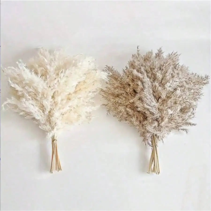 10/20/30pcs White Artificial Pampas Grass 17.3/Inch