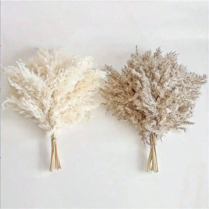 10/20/30pcs White Artificial Pampas Grass 17.3/Inch