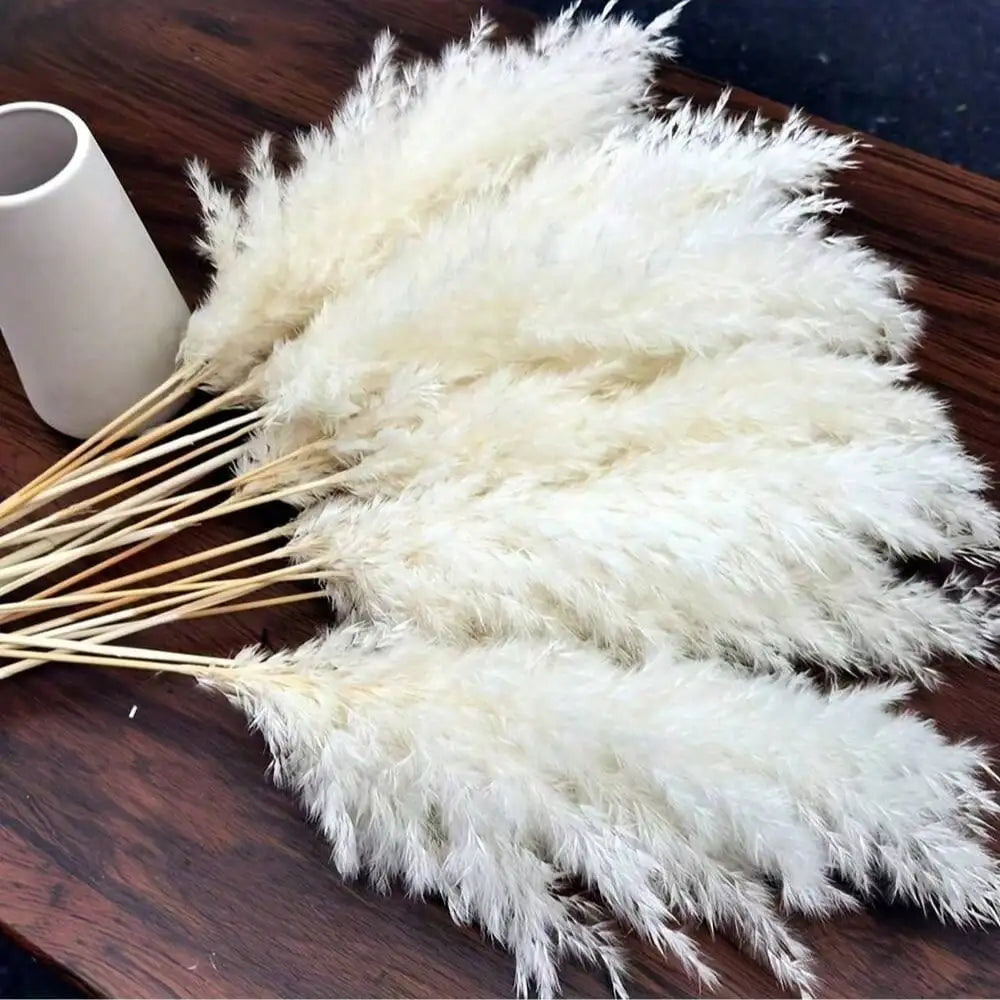 10/20/30pcs White Artificial Pampas Grass 17.3/Inch