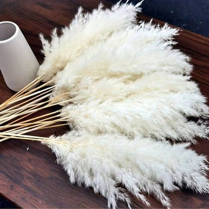 10/20/30pcs White Artificial Pampas Grass 17.3/Inch